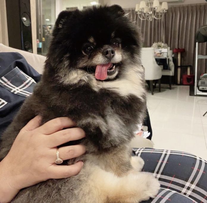 ไว้เจอกันใหม่! เบลล่า