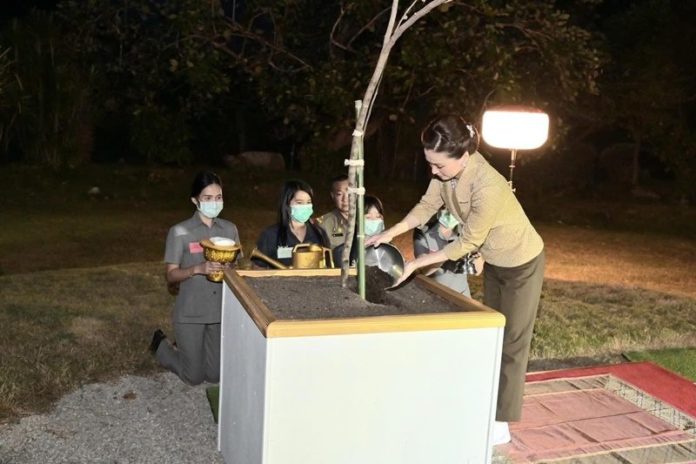 สมเด็จพระราชินี เสด็จฯ เป็นการส่วนพระองค์ ทอดพระเนตรโครงการสวนสมเด็จพระศรีนครินฯ ทรงร่วมกิจกรรมแปรรูปสมุนไพร 