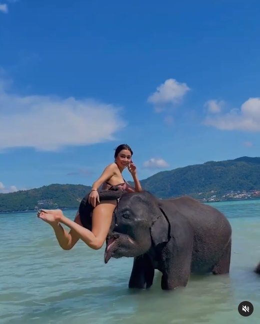 ซูริ ซูซานน่า โชว์แซ่บ