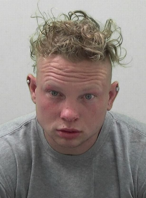 โจรสุดง่าว เข้าไปขโมยของในบาร์ ถล่มร้านยับ แต่กลับดื่มเบียร์จนเมา หลับ