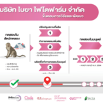 มาแล้ว! ‘วัคซีนโควิด-19’ เมดอินไทยแลนด์ โดย ‘จุฬาฯ-ใบยา’ เตรียมทดสอบในมนุษย์กลางปีนี้