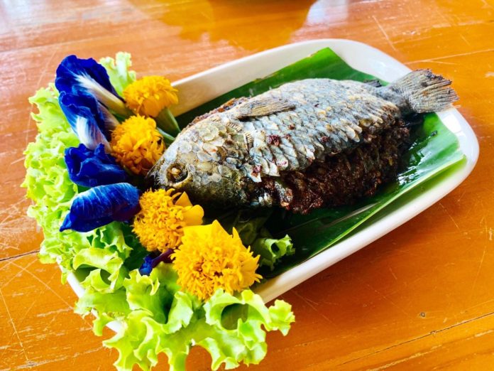 ปลาหมอจุกเคย - จานเด็ด 77 จังหวัด ชวนไปชิมเนมูความอร่อยใช้เคย (หรือกะปิ) ปลาหมอจุกเคย - จานเด็ด 77 จังหวัด ชวนไปชิมเนมูความอร่อยใช้เคย (หรือกะปิ)
