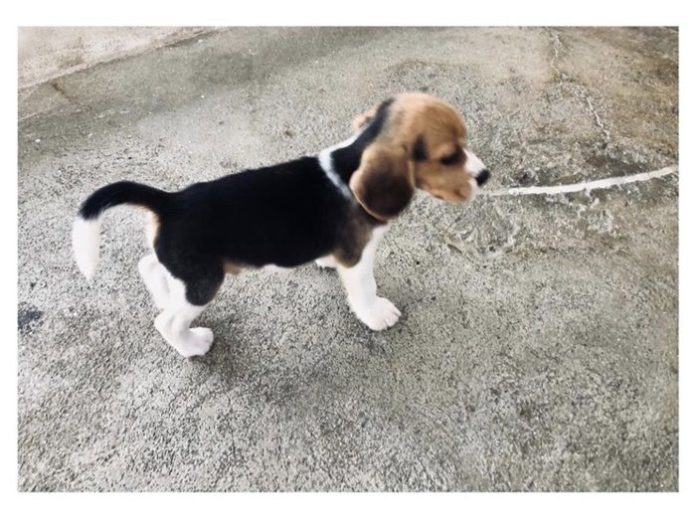 พี่เวย์ มีงอน