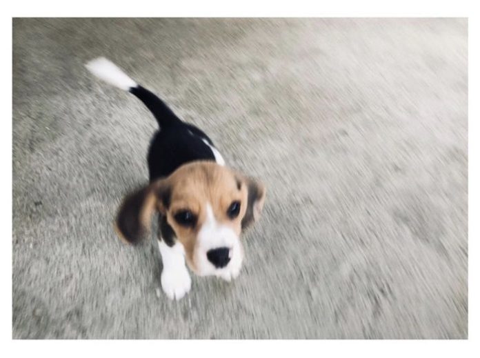 พี่เวย์ มีงอน