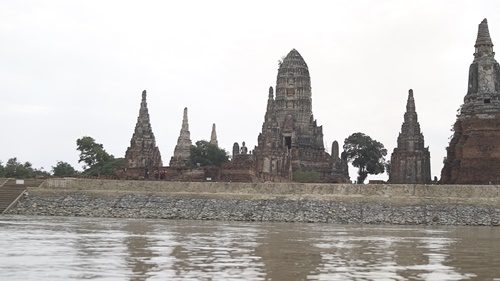 ต้น
