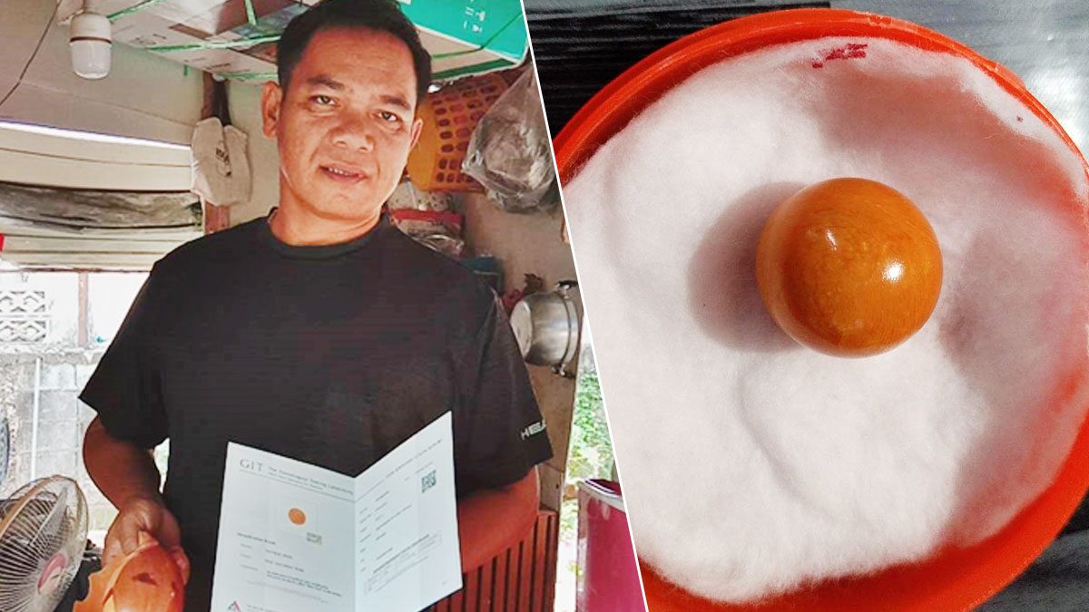 à¹€à¸› à¸