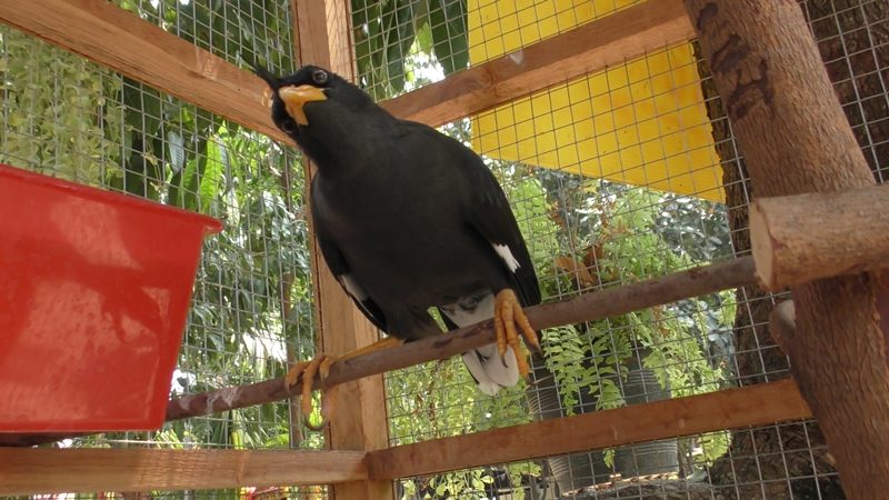 This image is not belong to us