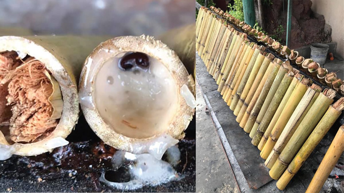 This image is not belong to us