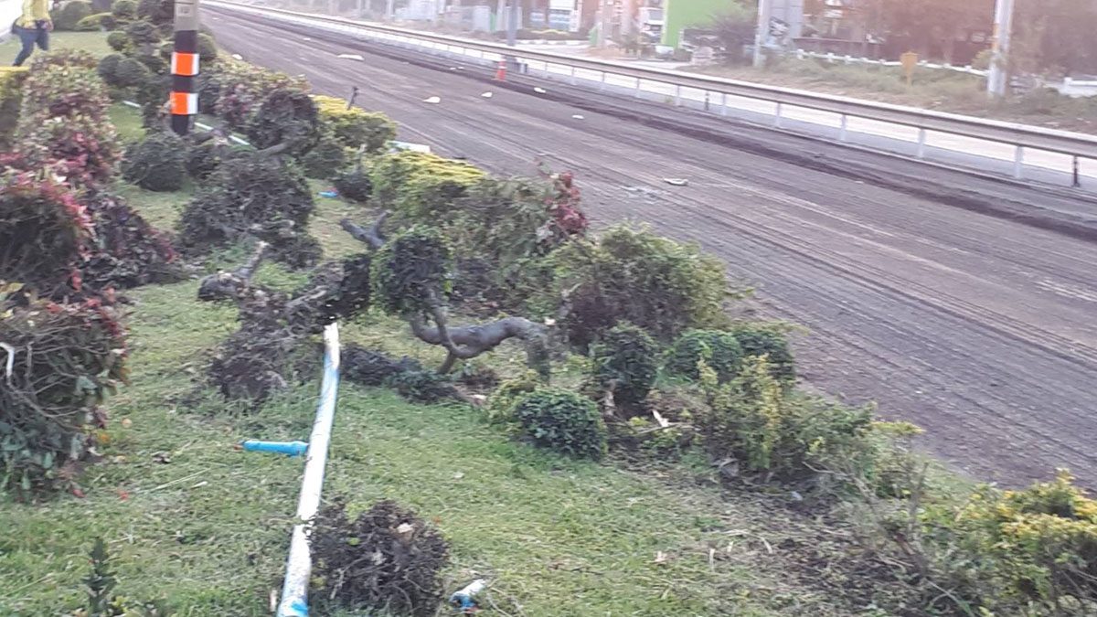 This image is not belong to us