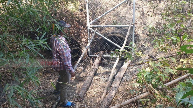 This image is not belong to us