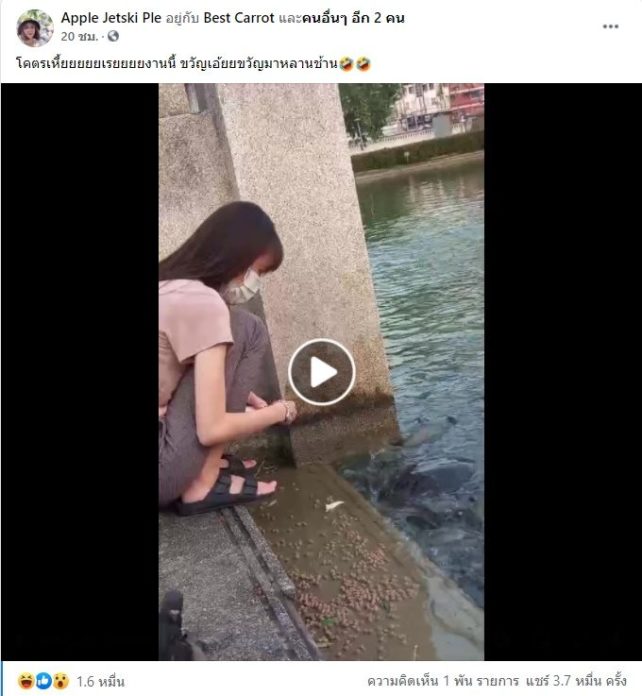 คลิปไวรัลวันนี้ สาวให้อาหารปลา