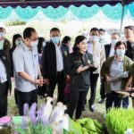 นฤมล สานต่อภารกิจ จ.น่าน ยกระดับ วิสาหกิจชุมชน สู่ธุรกิจแนวใหม่