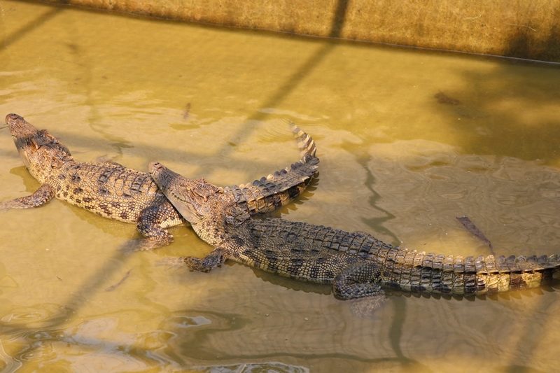 This image is not belong to us