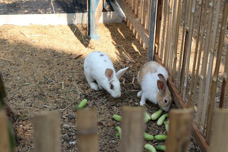 This image is not belong to us