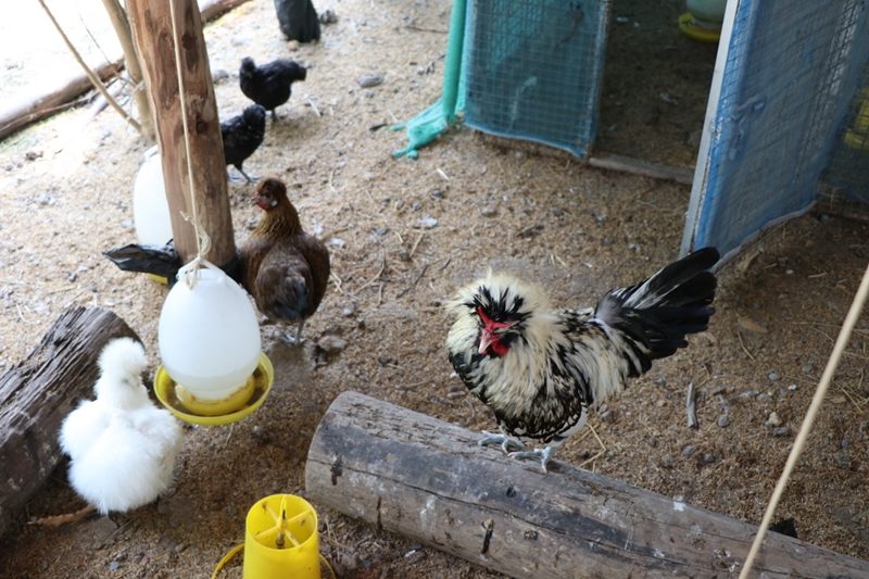 This image is not belong to us