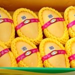 สร้างงาน-เพิ่มรายได้ชุมชน ราชบุรีพร้อมขายมะม่วงคุณภาพพรีเมี่ยม