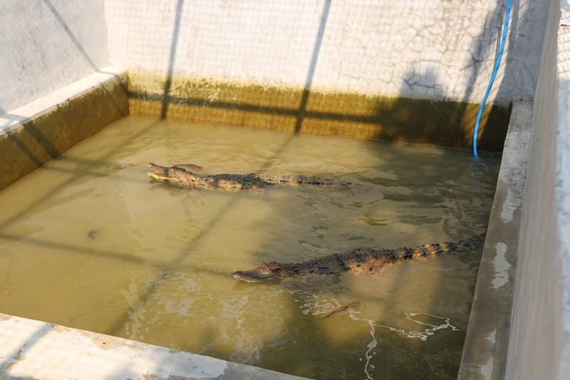 This image is not belong to us