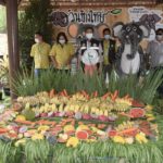 ฉลองวันช้างไทย สวนสัตว์เปิดเขาเขียว มอบเค้กผลไม้ยักษ์ให้พังยายแน็ท-ญาติช้าง9เชือก