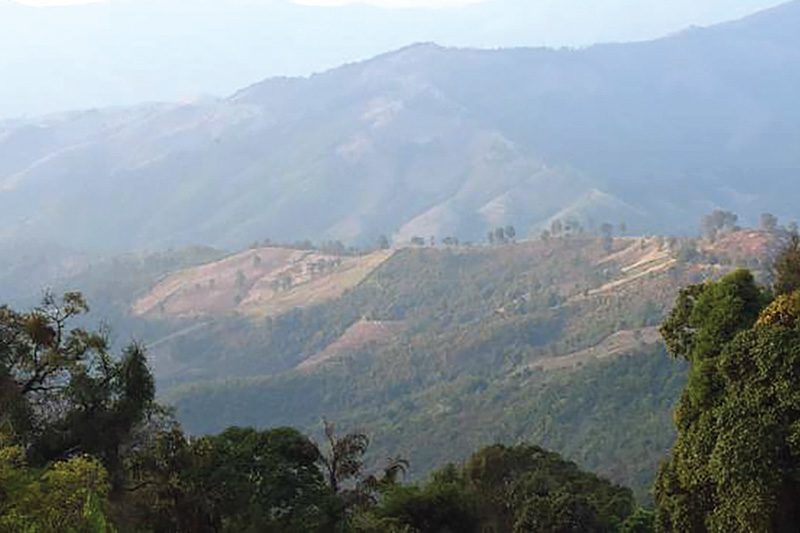 This image is not belong to us