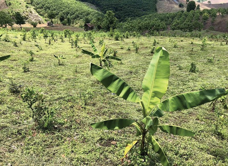 This image is not belong to us