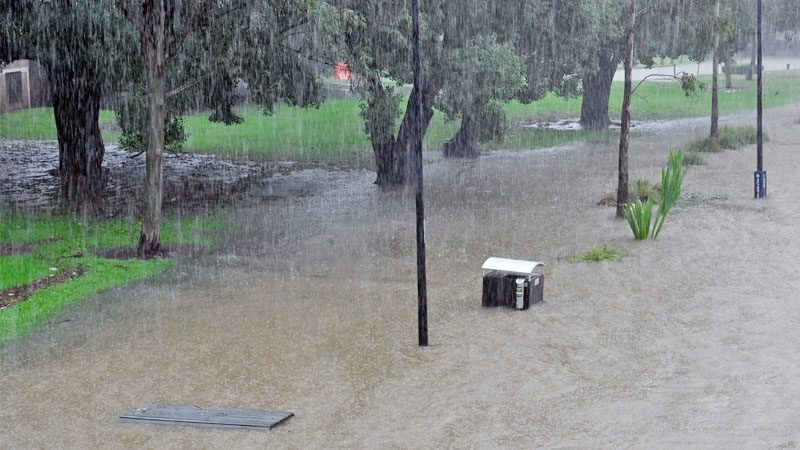ออสซี่ “ฝนรั่ว”