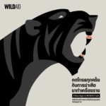 วันสัตว์ป่าและพืชป่าโลก องค์กรไวล์ดเอด ชวนทุกคนหยุดยั้งการค้าสัตว์ป่า