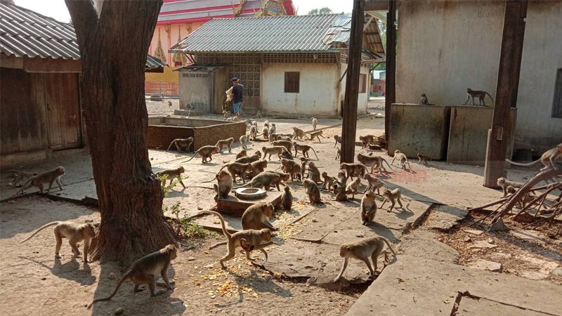 This image is not belong to us