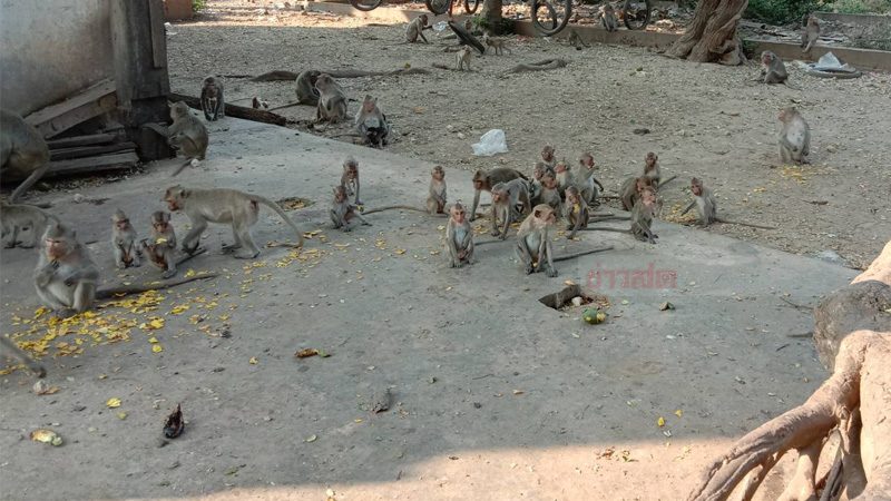 This image is not belong to us