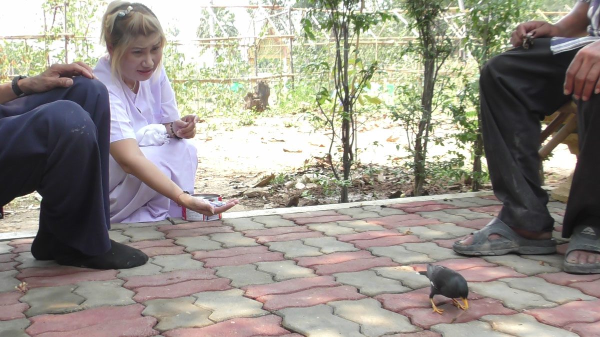 This image is not belong to us