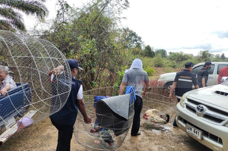 This image is not belong to us