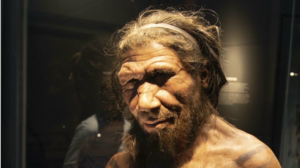 Cross-species love How did Homo Sepienne - Neanderthal match up ...