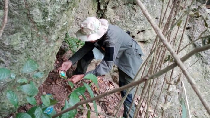 เจอสาวหาย10วัน