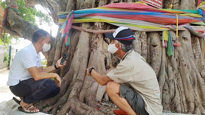 ชาวบ้าน-ญาติคนไข้ ขอพร-โชคลาภ ต้นโพธิ์โบราณ ขนาด 8 คนโอบ ในโรงพยาบาลพะเยา