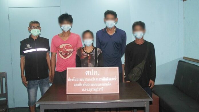 คราดหอยแครง