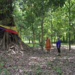 ททท.สุราษฎร์ฯ ชวนเที่ยววัดกลางป่าชุมชน นมัสการพ่อท่านทองสุข