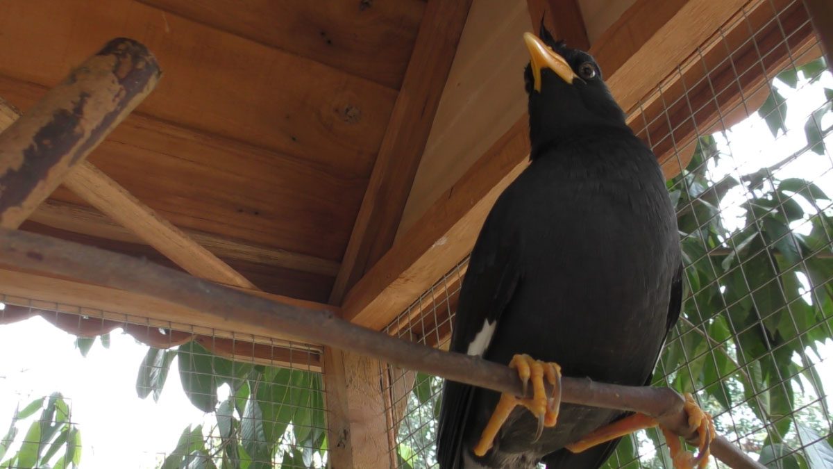 This image is not belong to us