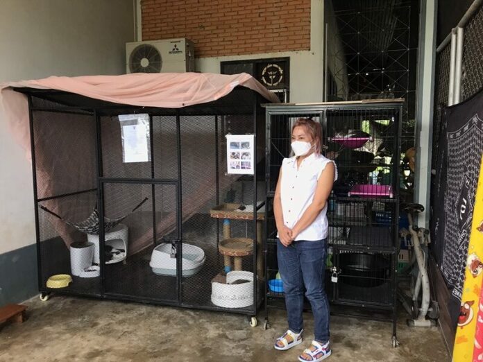 เพจดังชนะประมูล แมวของกลาง ได้ไปเลี้ยงทั้ง 6 ตัว