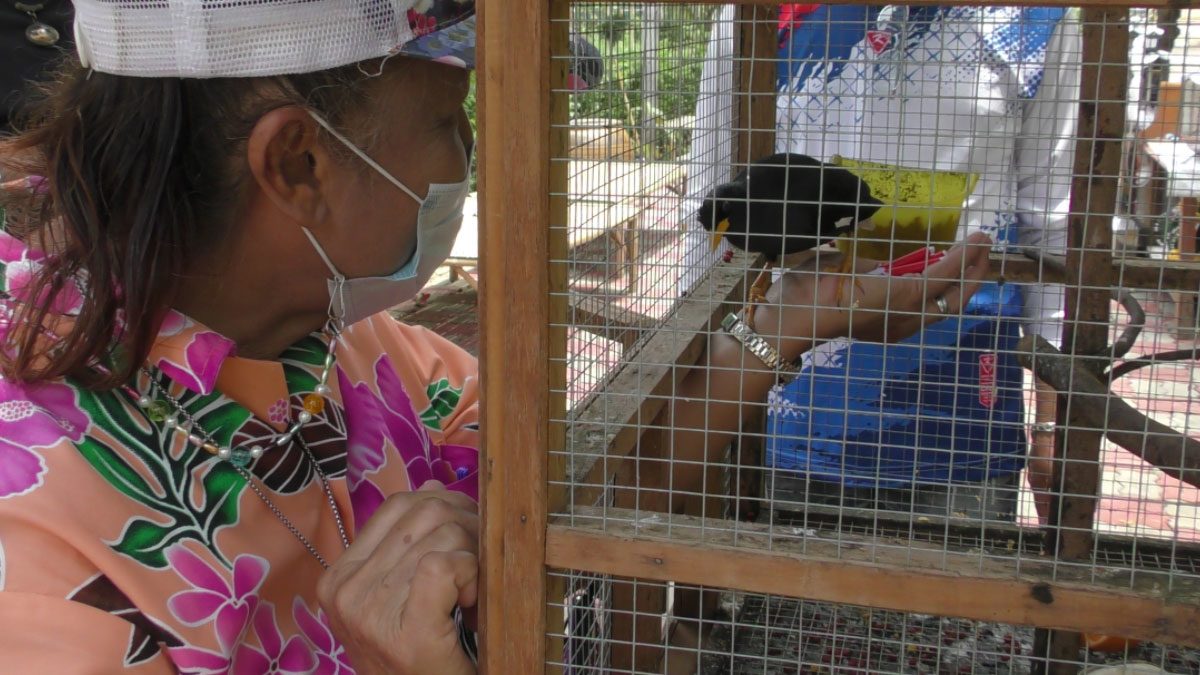 This image is not belong to us