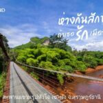 ททท.สุราษฎร์ธานี ชวนนักท่องเที่ยว "เที่ยวทิพย์" หวังหมด โควิด-19 จัดแคมเปญชวนเที่ยวจริง