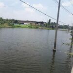 กรมโยธา ส่งเรือสนับสนุน กรมชล กำจัดผักตบชวาคลองบางบัวทอง