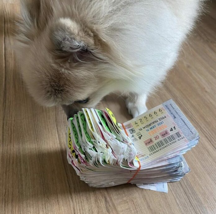 นิกกี้ ณฉัตร ขาดทุนครึ่งแสน