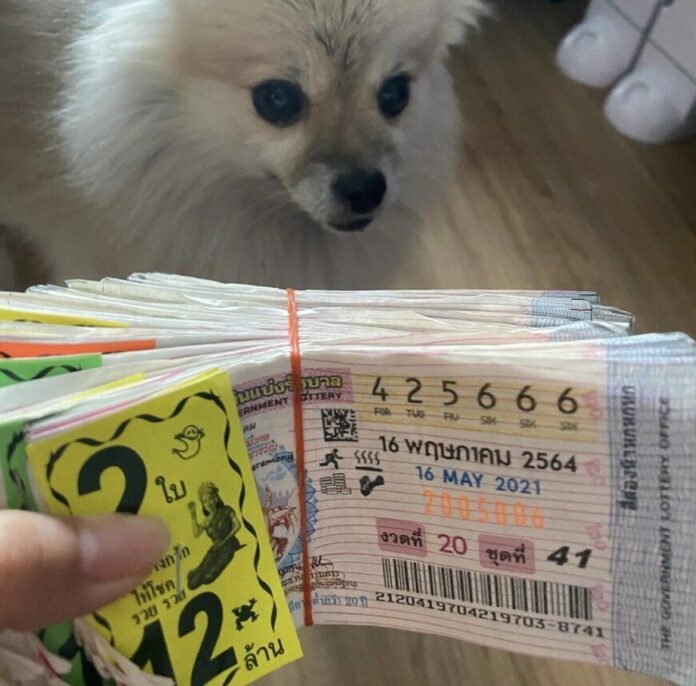 นิกกี้ ณฉัตร ขาดทุนครึ่งแสน