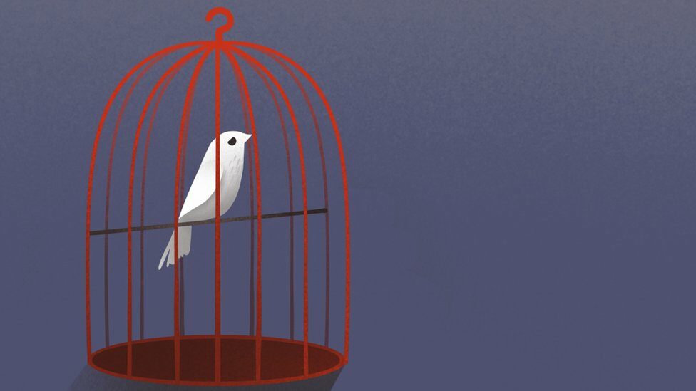 Illustration of bird in a cage.