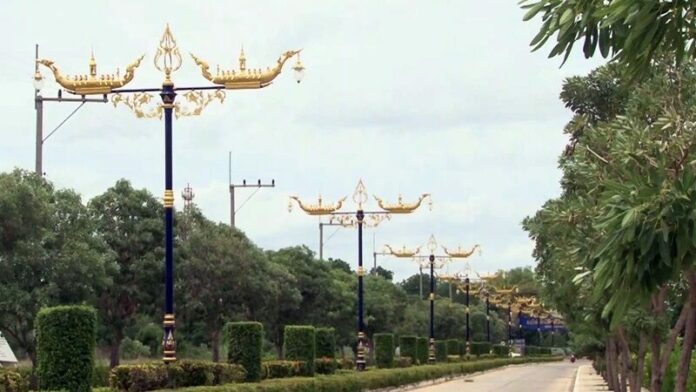 ต้นละ 8 หมื่น