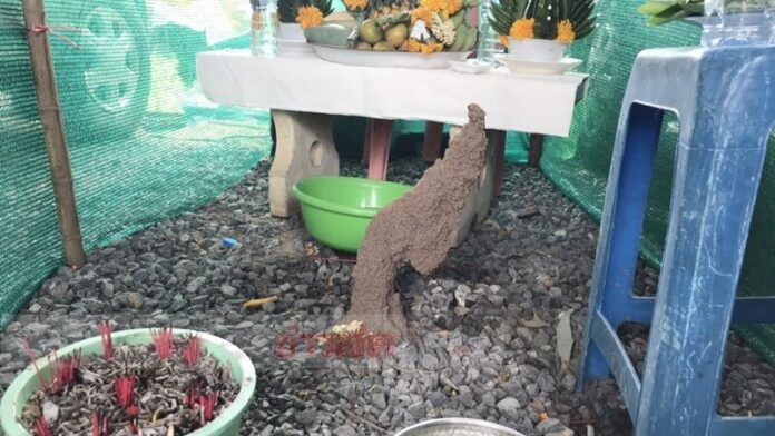เศียรพญานาค 