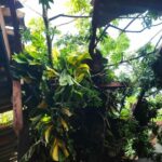 สนภ.4 นทพ. ส่งกำลังพล ช่วยปชช.ถูกพายุฝนถล่ม จ.พัทลุง