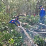 สนภ.4 นทพ. ส่งกำลังพล ช่วยปชช.ถูกพายุฝนถล่ม จ.พัทลุง