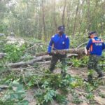 สนภ.4 นทพ. ส่งกำลังพล ช่วยปชช.ถูกพายุฝนถล่ม จ.พัทลุง