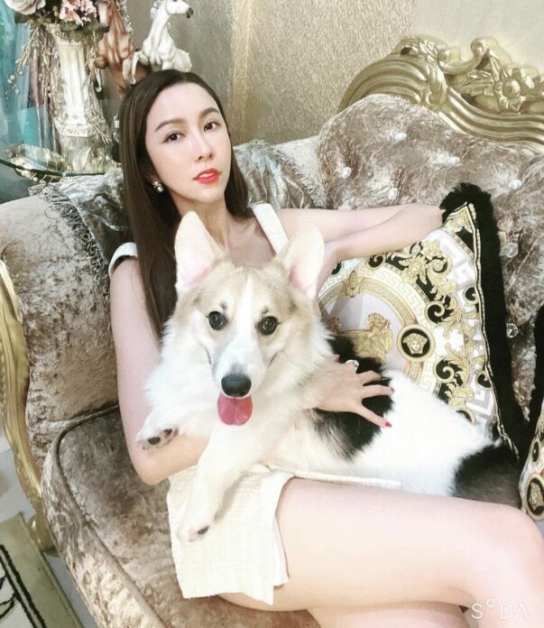 ไฮโซม่านฟ้า ร่วมกับรัฐ