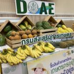 กระทรวงกลาโหม จับมือ กระทรวงเกษตร ช่วยเกษตรกร รับซื้อ-กระจายสินค้า 42 พื้นที่ 26 จว.